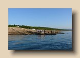 P1100767 (Medium)